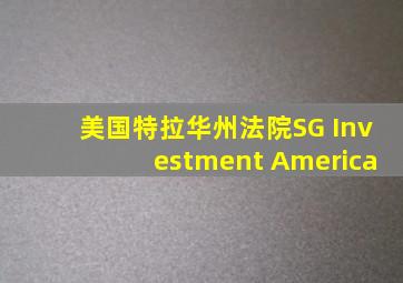 美国特拉华州法院SG Investment America